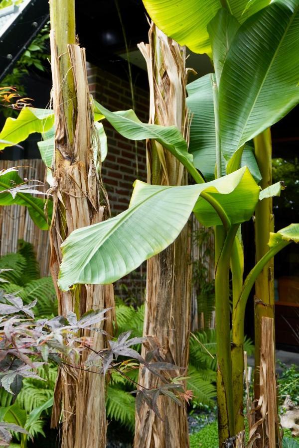 Jungle Stay In A Hidden Paradise Zwijndrecht Exterior foto