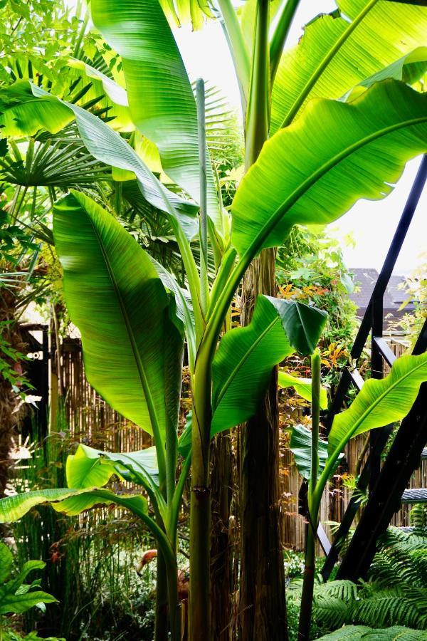 Jungle Stay In A Hidden Paradise Zwijndrecht Exterior foto