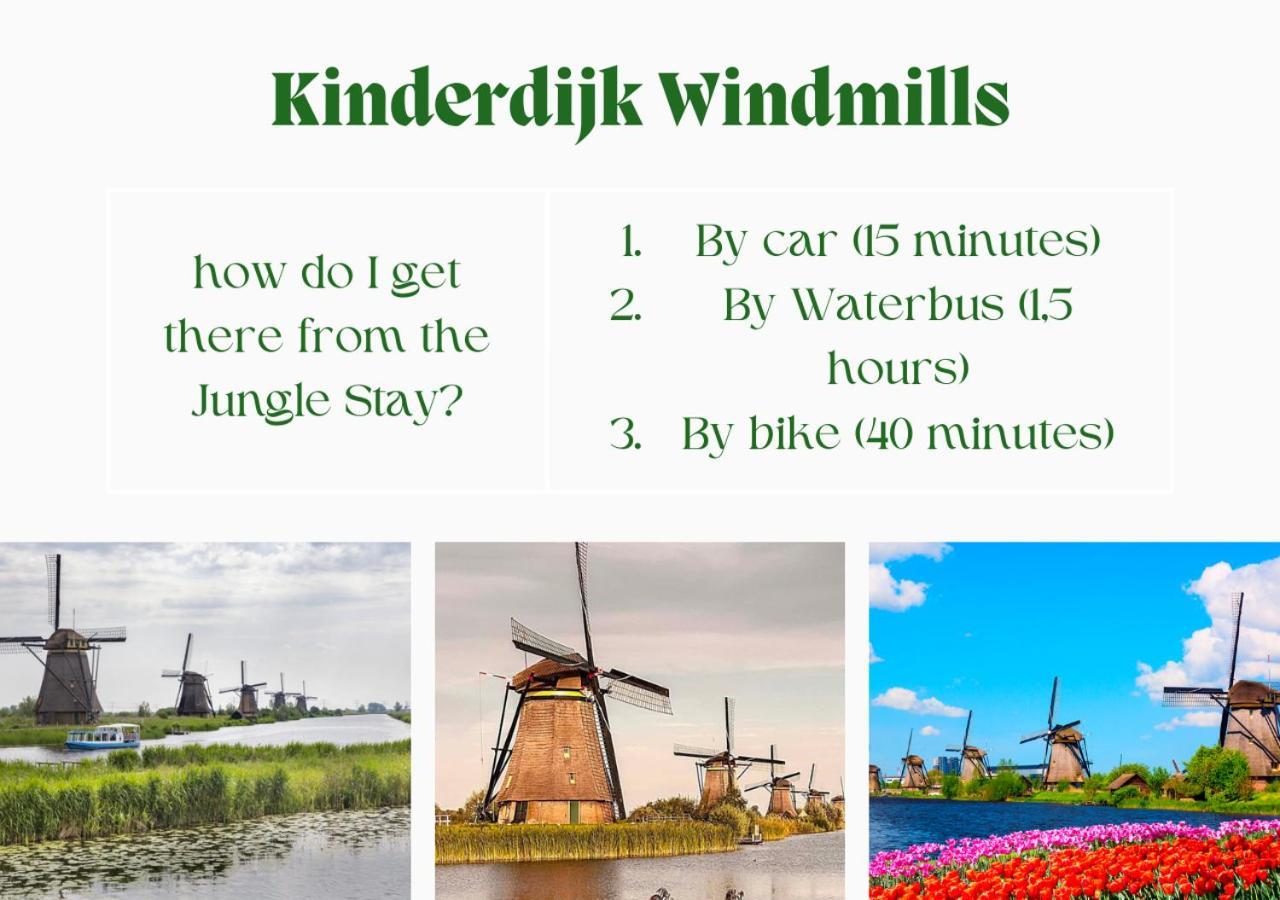 Jungle Stay In A Hidden Paradise Zwijndrecht Exterior foto